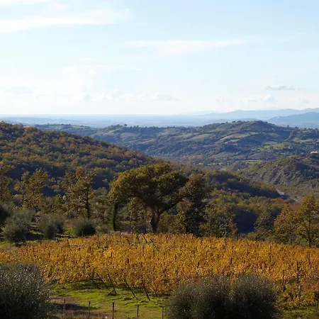 Alloggio per agriturismo Fattoria La Pieve Stribugliano