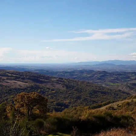 Fattoria La Pieve