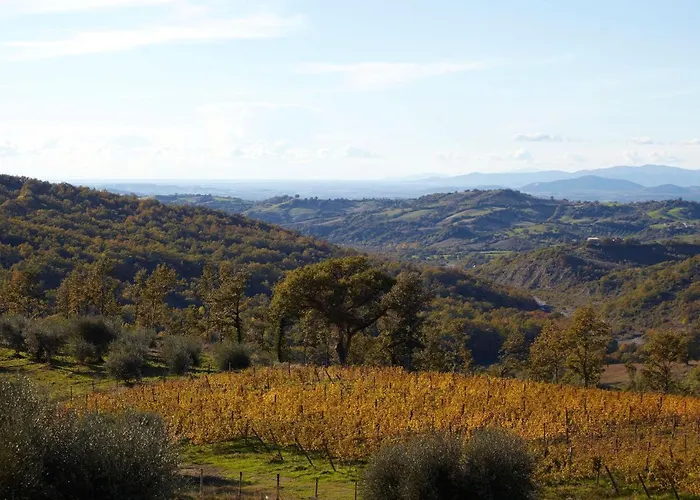 ファームステイ Fattoria La Pieve Stribugliano