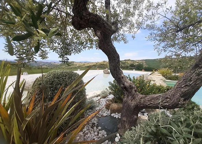 Fattoria La Pieve ファームステイ Stribugliano